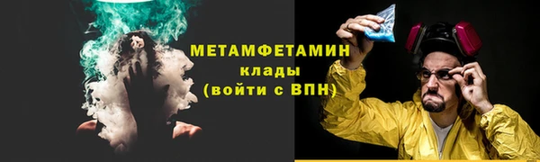 прущие грибы Лагань