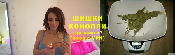 прущие грибы Лагань