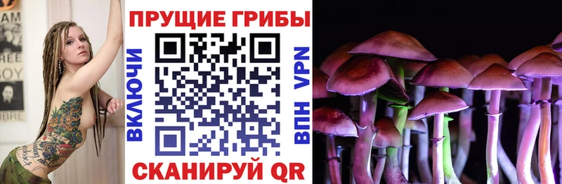 цена наркотик  Иноземцево  Псилоцибиновые грибы Magic Shrooms 